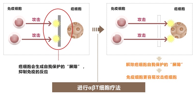 創(chuàng)造易于免疫機(jī)能發(fā)揮作用的環(huán)境